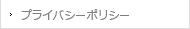 �ץ饤�Х����ݥꥷ��